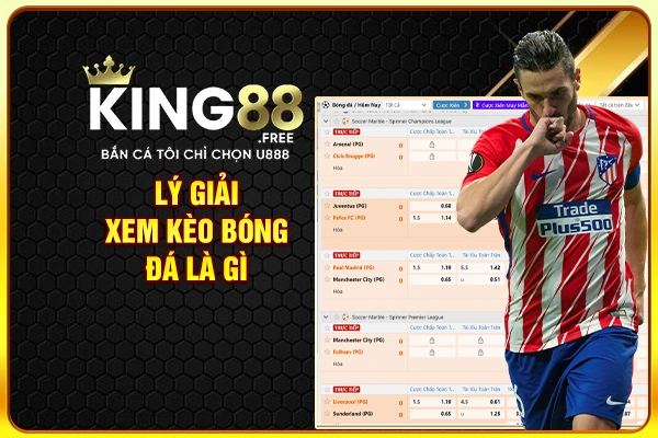 Lý giải xem kèo bóng đá là gì Lý giải xem kèo bóng đá là gì